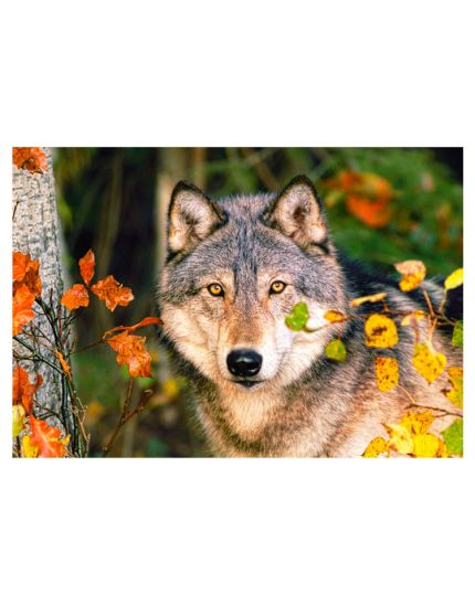 Puzzle Occhi Misteriosi 500 Pezzi 47x33 Cm