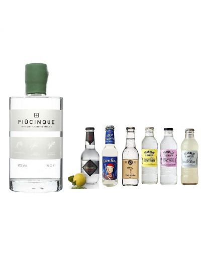 Gin PiùCinque 70cl 47% + Selezione di 6 Toniche Internazionali