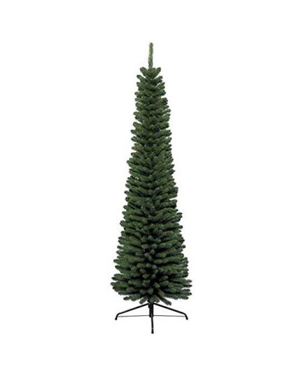 Albero Natale Pino Verde Pencil Pine Varie Dimensioni