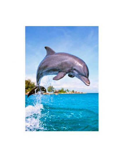 Puzzle Delfino 500 Pezzi 47x33 Cm