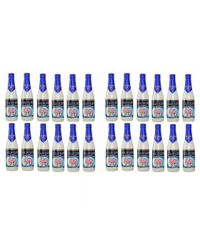 24 Bottiglie Birra Delirium Nocturnum 33 cl