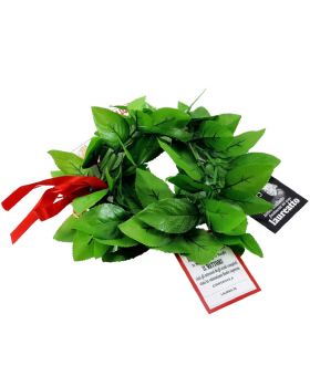 Corona Diadema Alloro Laurea Dottoressa con Bigliettini Simpatici