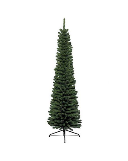 Albero Natale Pino Verde Pencil Pine Varie Dimensioni