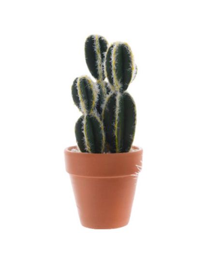 Cactus Piantina Grassa Sintetica in Vaso Terracotta Extra Realistica 19cm