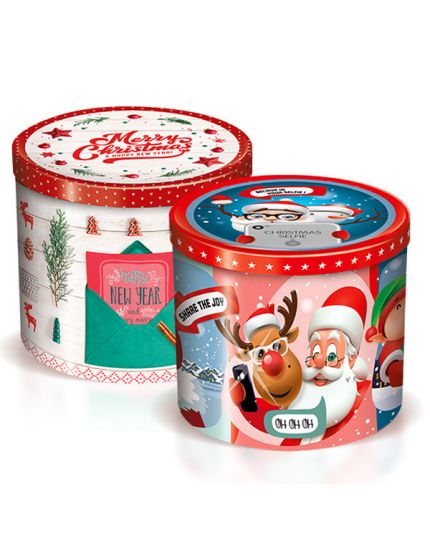 Pandoro Classico Balocco in Confezione Latta 750gr