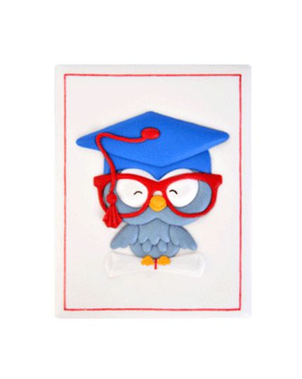 Decorazione Zucchero Placca Laurea Gufetto 7x9cm