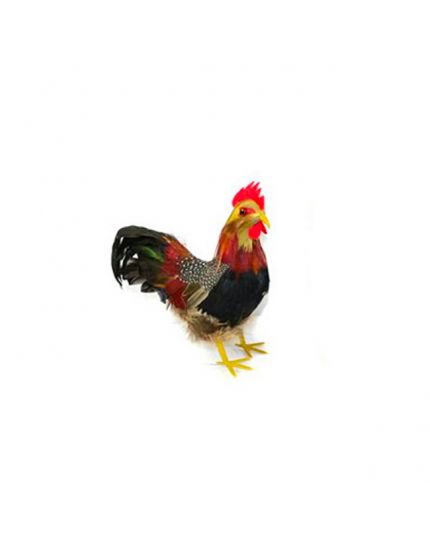 Gallo 18Cm