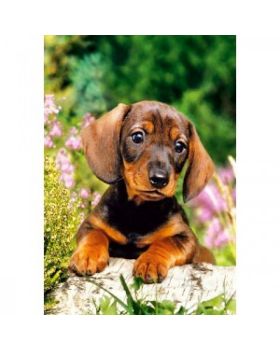 Puzzle Cagnolino 120 Pezzi 32x23 Cm