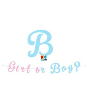 Festone Baby Girl or Boy Gender Reveal